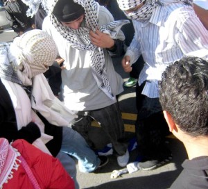 IMG_8633 IMG_8633