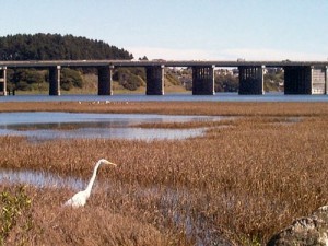 Bothin Marsh, Marin County