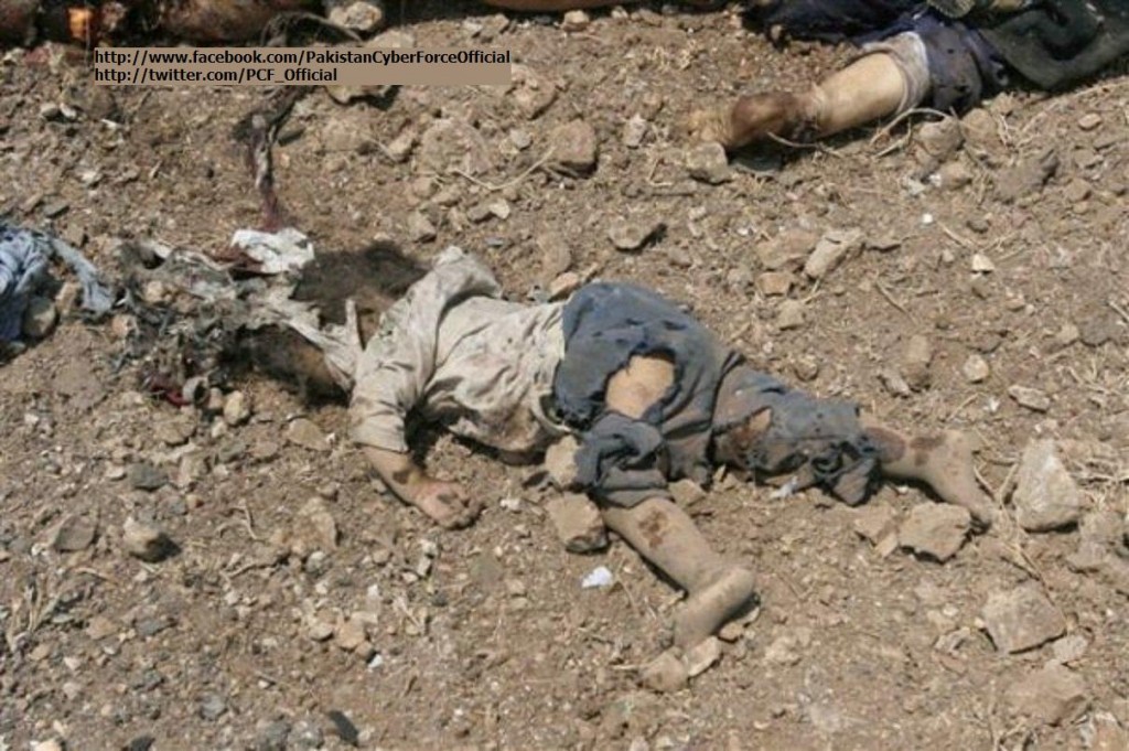 “Terrorist” killed in Drone Attack on Pakistan
