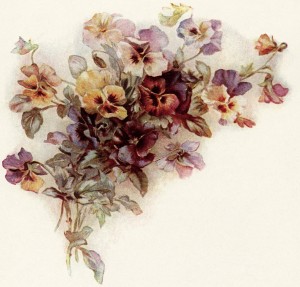 Victorian posy of pansies