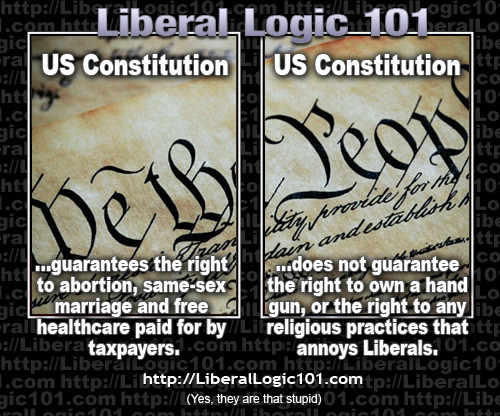 Liberal view of constitution