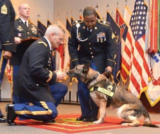 Dog receiving a medal for service
