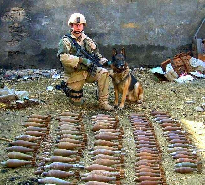 Troops and dogs 4