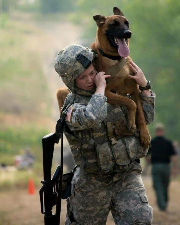 Troops and dogs 7