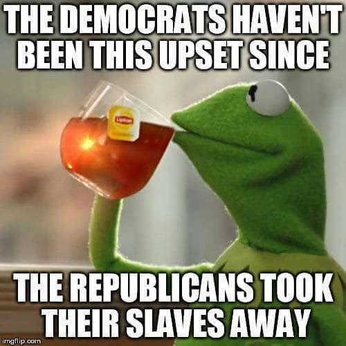 election-upset-democrats-slavery