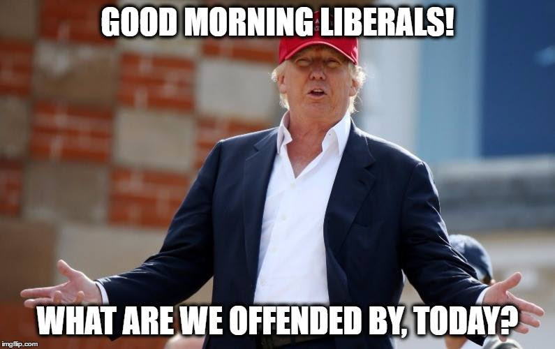 trump-offends-liberals