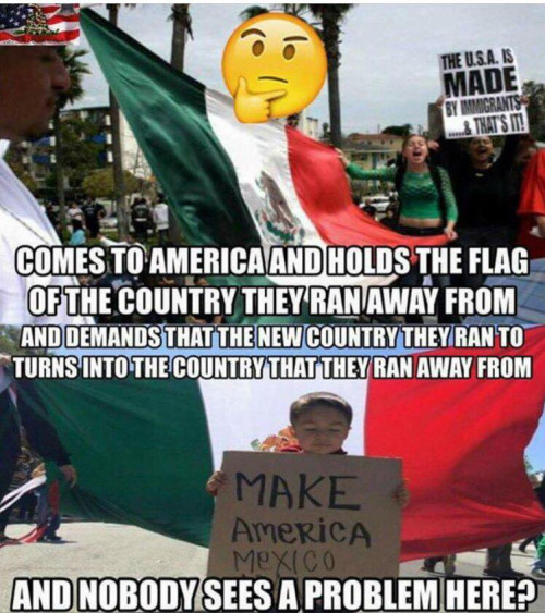 immigration-trying-to-turn-america-into-countries-they-fled