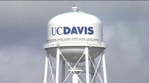 UC Davis Diversity
