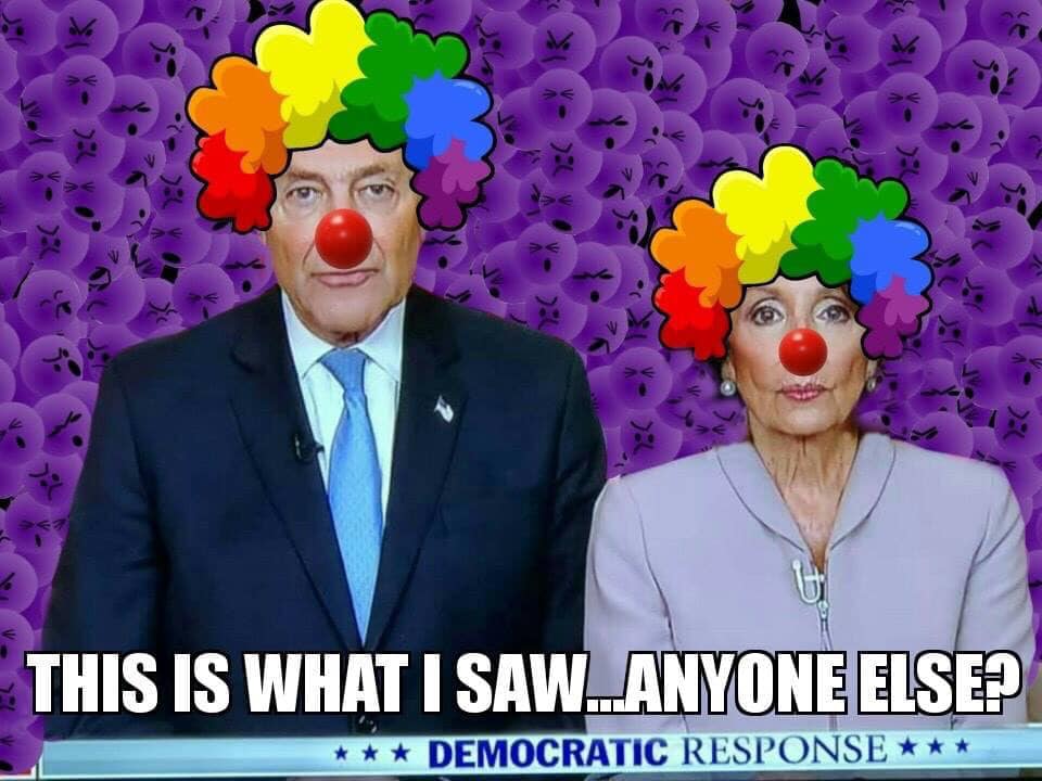 Schumer and Pelosi meme