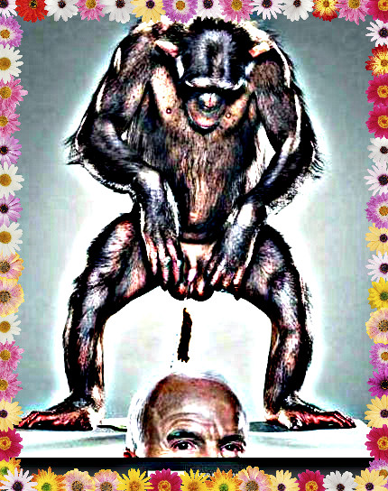 Jill Greenberg's monkey pooping on McCain