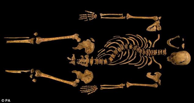 Richard III's skeleton