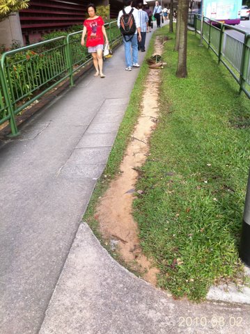 Singapore's clean sidewalks
