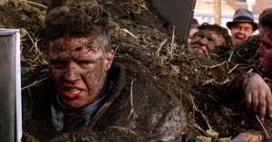 Biff manure