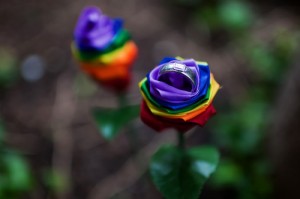 Gay-flower