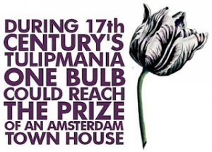 Tulipmania