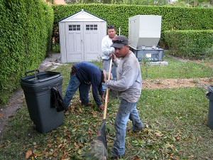 Hispanic gardeners