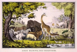 1947 Currer and Ives print of Adam naming the animals