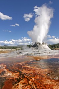 Yellowstone