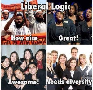 Liberals and diversity