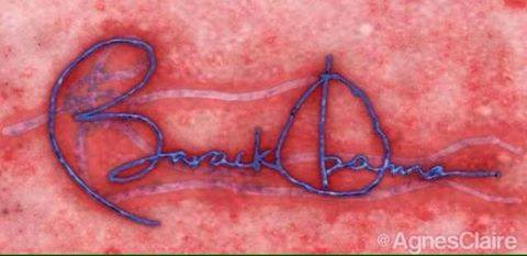 Obama's ebola signature