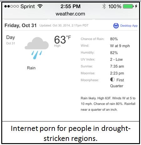 Rain forecast as internet pron