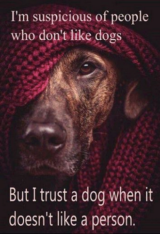 Trusting dogs who don't like a person