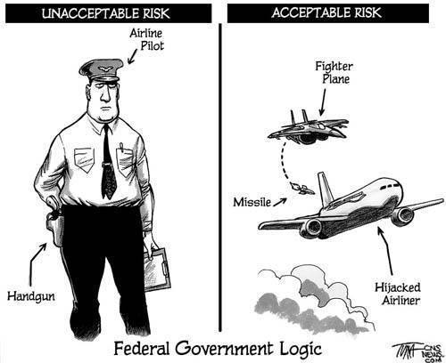 Federal government logic on hijacking