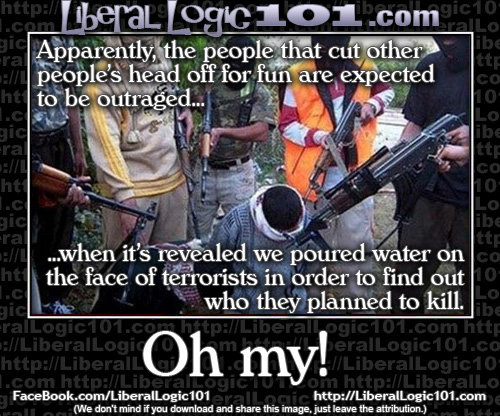 Beheaders shocked about waterboarding