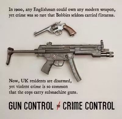 Crime soars when countries have full gun control