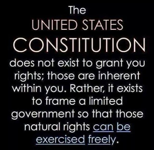 Perfect definition of the constitution