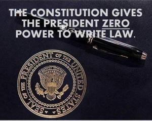 Constitution President Write Law
