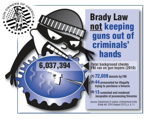 Brady Law guns