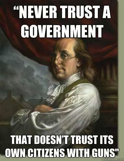government citizens guns