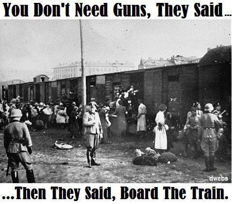 Nazis and gun control