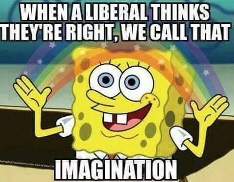 Liberals imagination