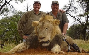 Cecil the lion killed by an American dentist