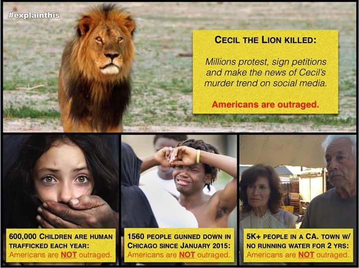 Cecil the lion and the things we ignore