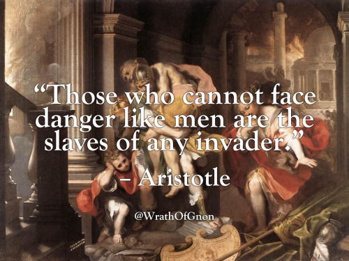 Aristotle on cowards and slavery