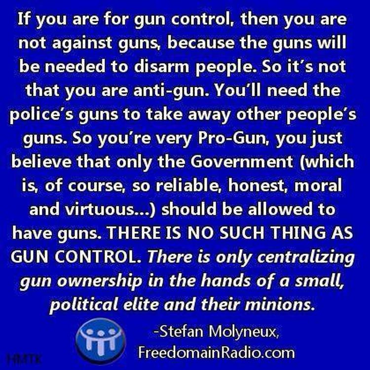 Gun control is really government control