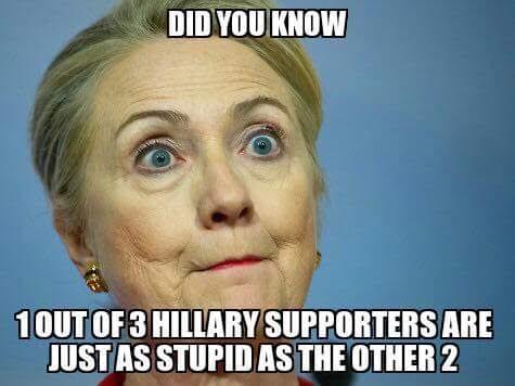 Stupid Hillary supporters