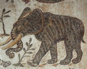 Roman elephant