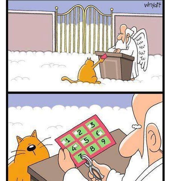 Cat Heaven ticket