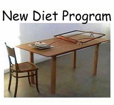 New diet program