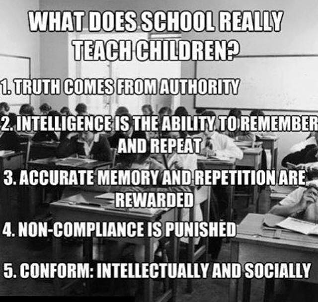 What our education system teaches children