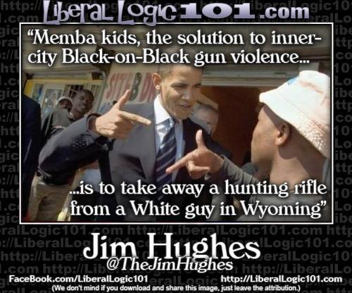 Get rid of inner city violence by taking white Wyoming man's gun