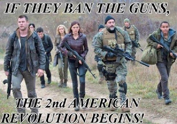 If guns banned second revolution