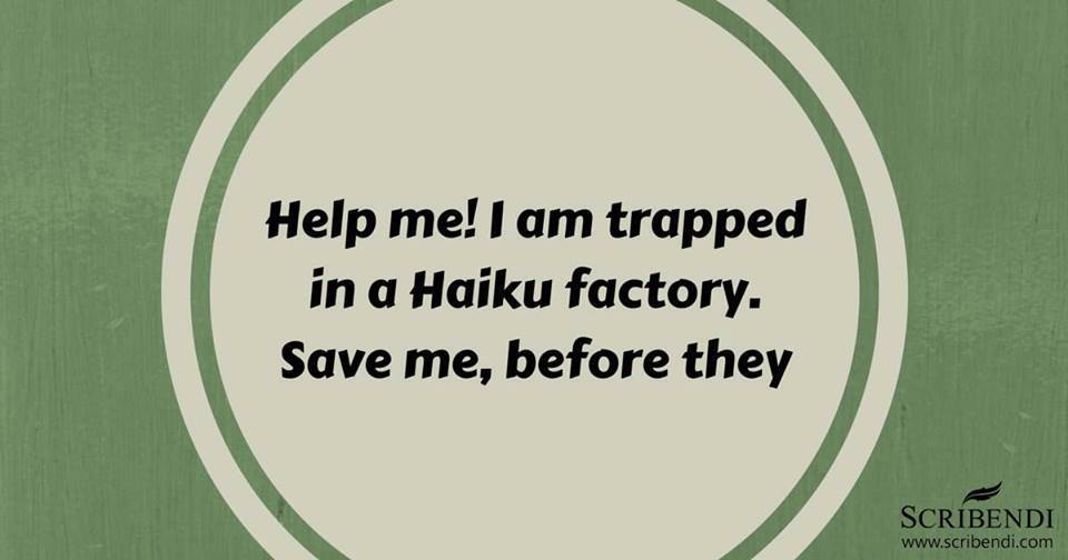 Silly Trapped in a Haiku factory
