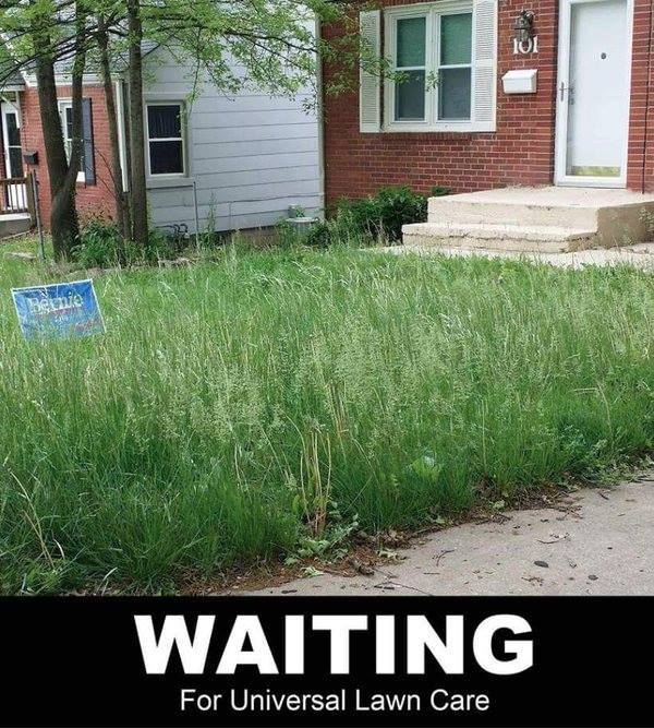 Bernie supporter universal lawn care