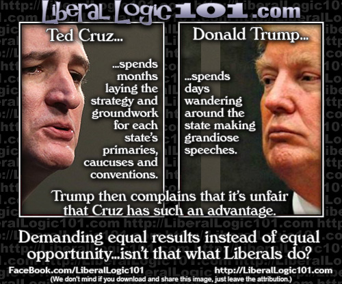 Cruz and Trump election strategies