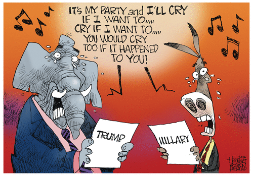 Democrats Liberals Government